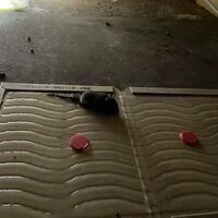 画像1426