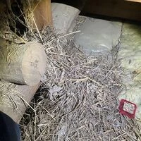 画像1518