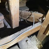 画像1520